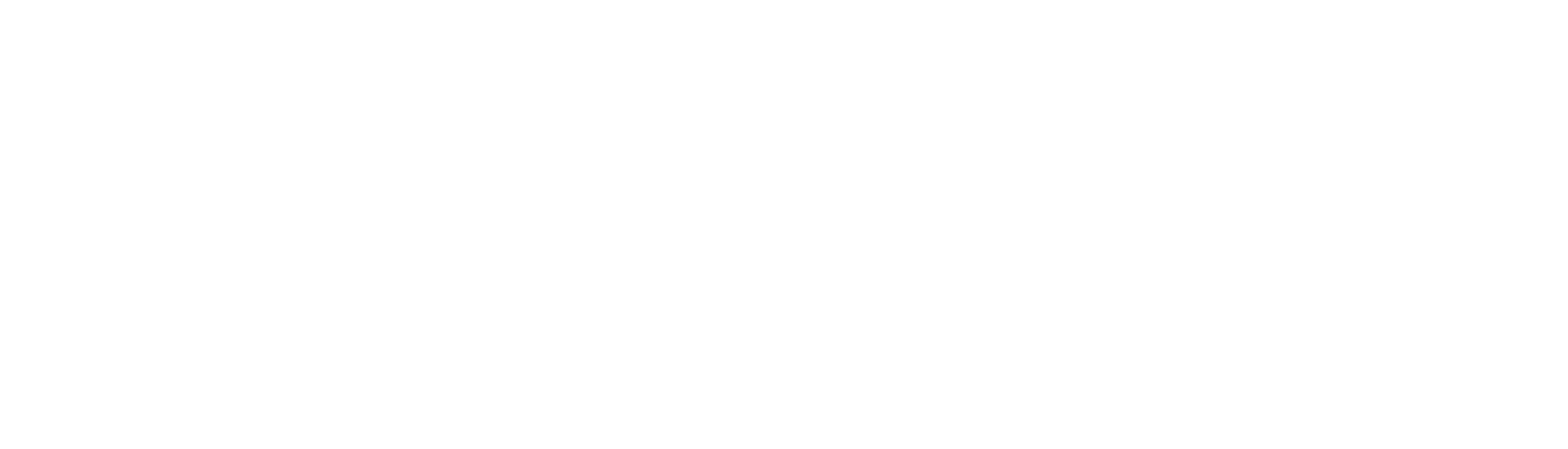 Sparkvey Logo